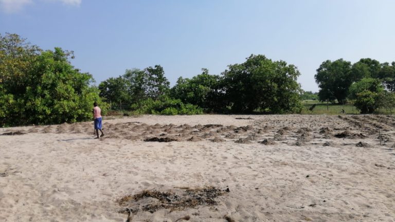 Mavadivembu Farm